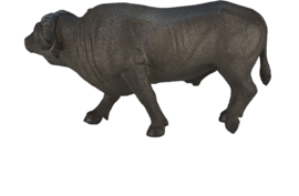 Kaapse buffel  Mojo 387111