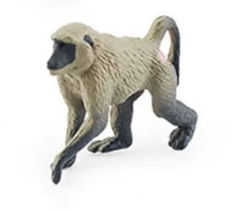 Baviaan mini