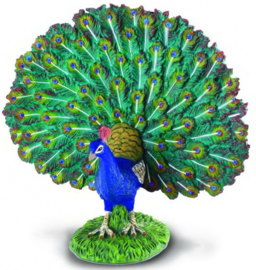 Peacock   CollectA 88209