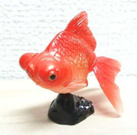 Goudvis Kaiydodo P41b  Demekin