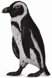 Zuid Afrika pinguin   CollectA 88710