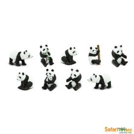 Panda's  S697304