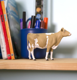 Guernsey Koe Safari 162029