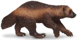 Veelvraat   wolverine   S180429 