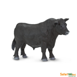 Angus bull S160729