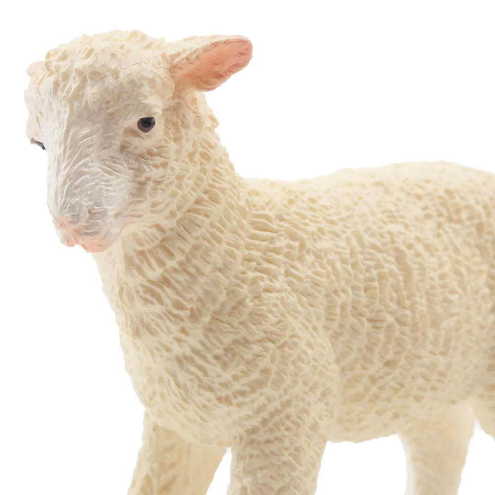 White Lamb Toymany