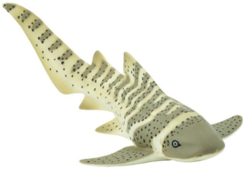 Zebrahaai  S223329