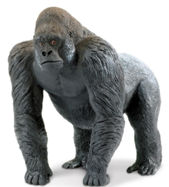 Gorilla XXL S111589