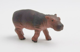 Hippopotamus calf 63692
