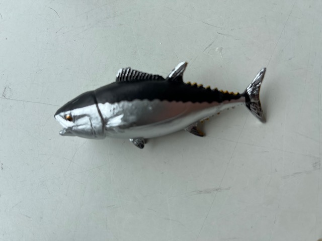 Tonijn