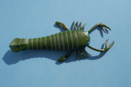 Eurypterus