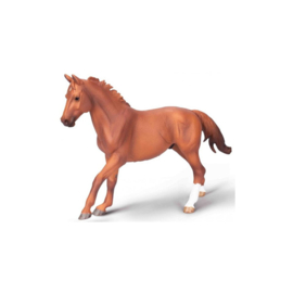 CollectA 80017 - Phar Lap, Thoroughbred