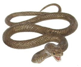 Brown snake 75472 Animals of Australia
