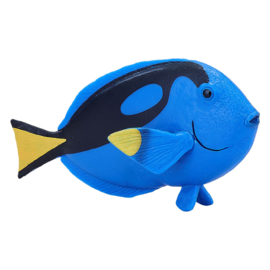 Blue tang    Picasso doktersvis  Mojo 387269