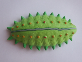 Slug caterpillar moth  XL
