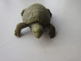 Landschildpad mini