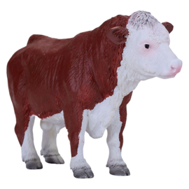 Hereford bull   Mojo 381073