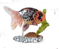 Buffelhead   Ranchu