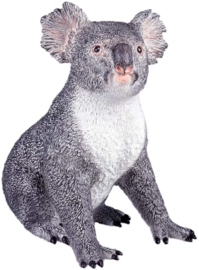 Koala Recur