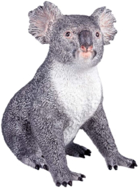 Koala XXL Recur