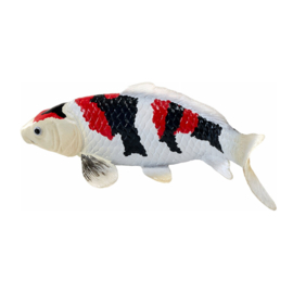 Koi karper Showa Sanshoku Mojö 381103