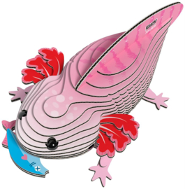 Axolotl Eugy 3D