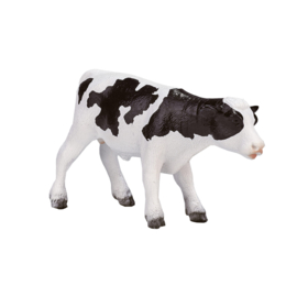 Holstein kalf Mojo 387061