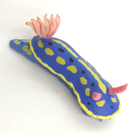 Zeenaaktslak Hypselodoris festiva