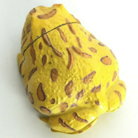 Argentine horned frog