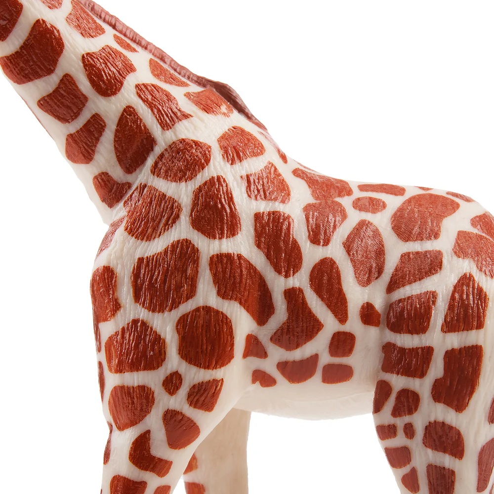 Giraffe standing  Toymany