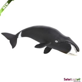 Bowhead Whale  S205529