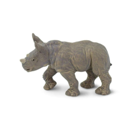 White Rhino Baby   S270329