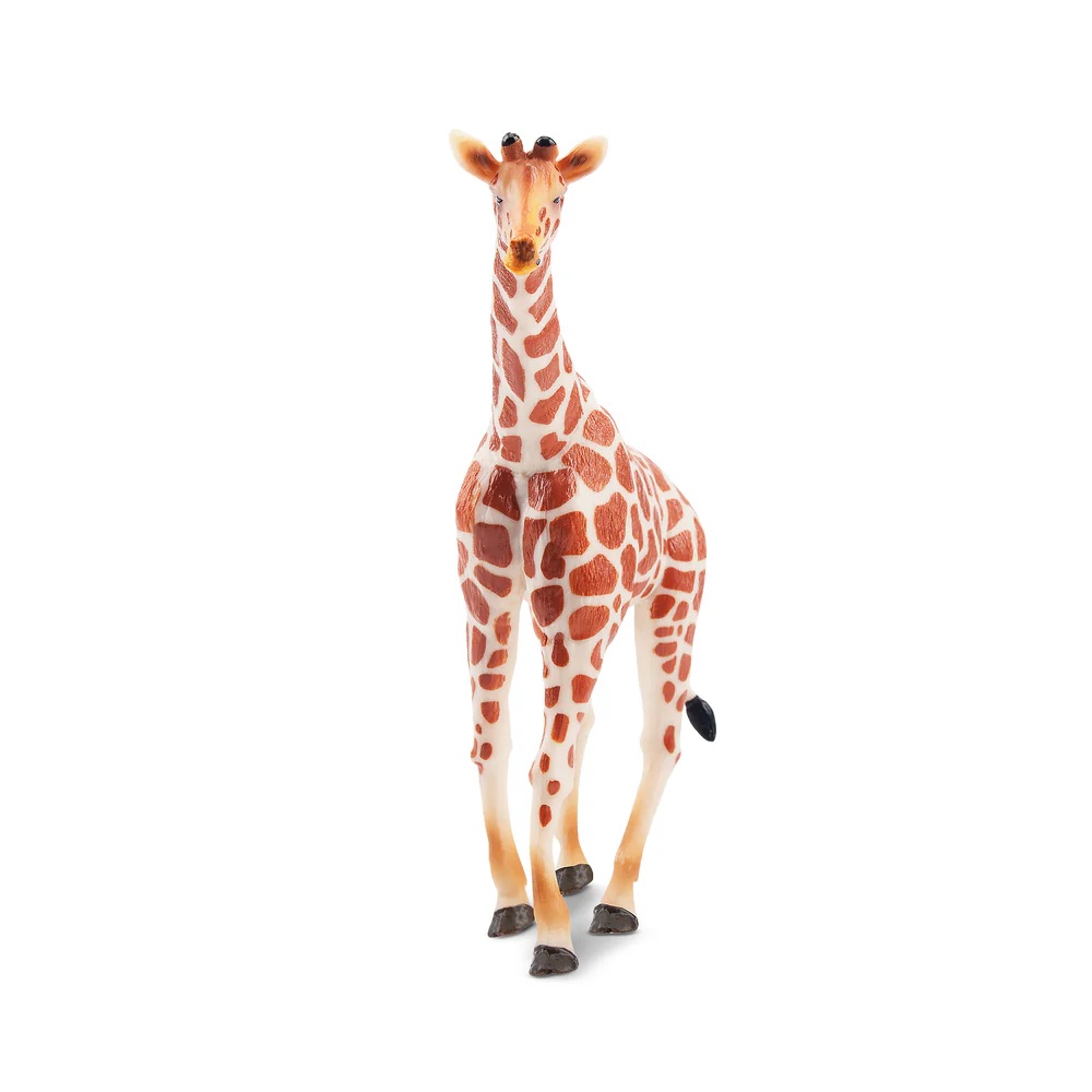 Giraffe standing  Toymany