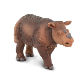 Sumatran Rhino  S100103