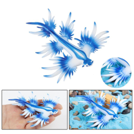 Blue seadragon  Glaucus atlanticus