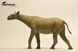 Paraceratherium grangeri  Eofauna