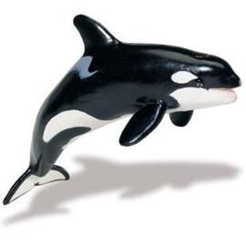 Orca (serie Monterey Bay aquarium) S210202