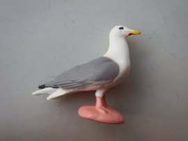 Seagull (small)