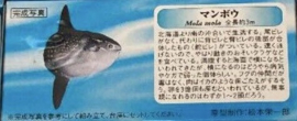Maanvis  Mola mola  Kaiyodo Aquatales