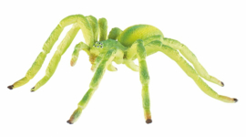Green huntsman spider Bullyland 68455