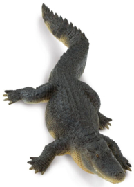 Alligator XXL S113389