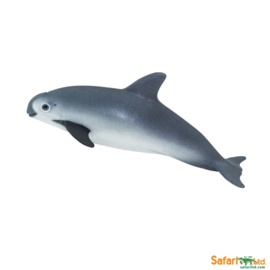 Vaquita  (Californische bruinvis)   S100101