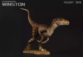 Velociraptor Winston  Rebor 98504