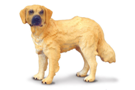 Golden Retriever CollectA 88116