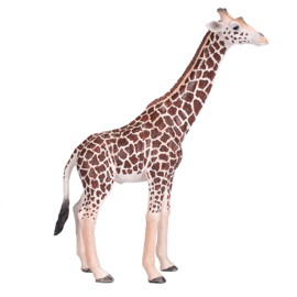 Giraffe mannetje Mojo 381008