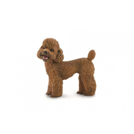 Poodle CollectA