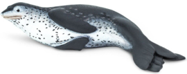 Leopard Seal   S100129
