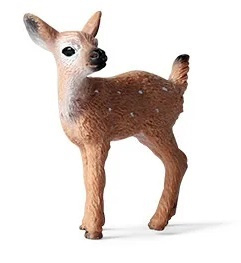 Deer calf