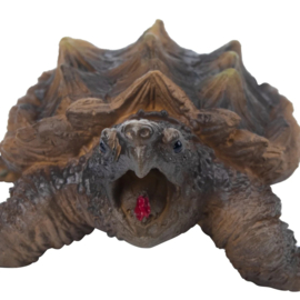 Bijtschildpad   Toymany