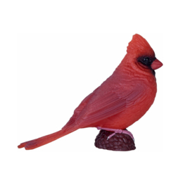 Red Cardinal    Mojo